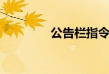 公告栏指令（公告栏代码）