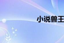 小说兽王（风流兽王）
