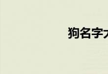 狗名字大全（狗名）
