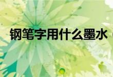钢笔字用什么墨水（钢笔用墨汁还是墨水）