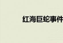 红海巨蛇事件始末（红海巨蛇）
