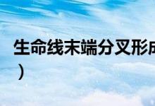 生命线末端分叉形成三角纹（生命线末端分叉）