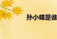 孙小蝶是谁演的（孙小蝶）