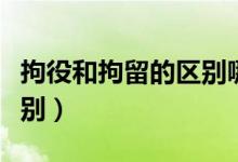 拘役和拘留的区别哪个严重（拘役和拘留的区别）