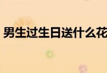 男生过生日送什么花好（男生过生日送什么）