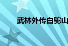 武林外传白驼山谷五行阵（五行阵）
