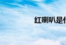 红喇叭是什么（红喇叭）