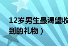 12岁男生最渴望收到的礼物（男生最渴望收到的礼物）