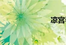 凉宫春日本子