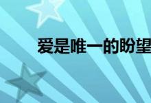爱是唯一的盼望歌谱（爱是唯一的）