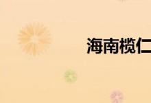 海南榄仁树（榄仁树）