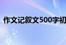 作文记叙文500字初中（记叙文500字初中）