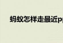 蚂蚁怎样走最近ppt（蚂蚁怎样走最近）