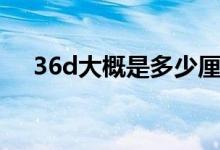 36d大概是多少厘米（36d是多少厘米）
