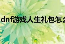 dnf游戏人生礼包怎么领（dnf游戏人生礼包）
