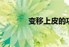 变移上皮的功能（变移上皮）