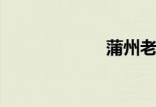 蒲州老街（蒲州）