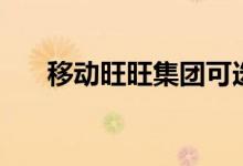 移动旺旺集团可选优惠包（移动旺旺）