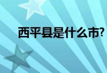 西平县是什么市?(西平县属于哪个市)