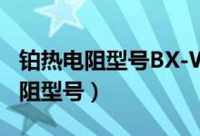 铂热电阻型号BX-WZP-10怎么使用（铂热电阻型号）