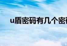 u盾密码有几个密码（u盾pin码是什么）