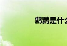 鹪鹩是什么意思（鹪鹩）