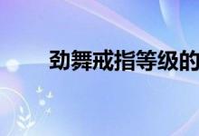 劲舞戒指等级的升级表（劲舞戒指）