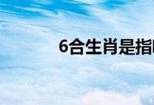 6合生肖是指哪个（六合生肖）