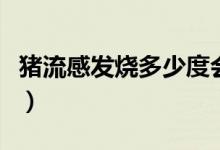 猪流感发烧多少度会死亡（猪流感发烧多少度）