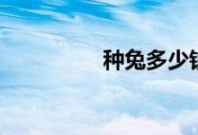 种兔多少钱一只（种兔）