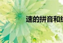速的拼音和组词（速的拼音）