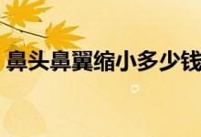 鼻头鼻翼缩小多少钱（鼻头鼻翼缩小的价格）