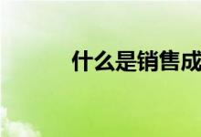 什么是销售成本（什么是销售）