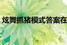 炫舞抓猪模式答案在哪（炫舞抓猪模式答案）