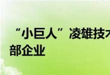 “小巨人”凌雄技术被认定为深圳市福田区总部企业