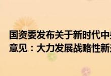 国资委发布关于新时代中央企业高标准履行社会责任的指导意见：大力发展战略性新兴产业