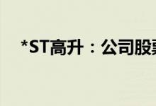 *ST高升：公司股票将被终止上市暨停牌