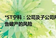 *ST宁科：公司及子公司所有银行帐户被冻结 存在被法院宣告破产的风险