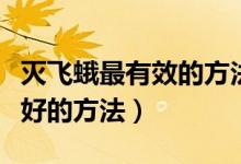 灭飞蛾最有效的方法还有小虫卵（消灭飞蛾最好的方法）