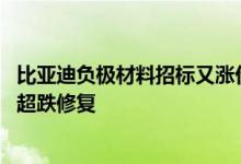 比亚迪负极材料招标又涨价？中标企业人士：小幅上调 属于超跌修复