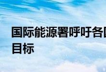 国际能源署呼吁各国努力实现可再生能源3倍目标