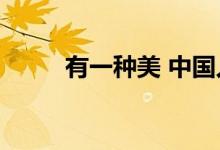 有一种美 中国人喜欢了3000多年