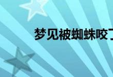 梦见被蜘蛛咬了（梦见被蜘蛛咬）