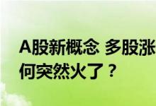 A股新概念 多股涨停！“车路云一体化” 为何突然火了？