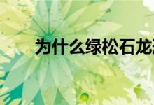 为什么绿松石龙形器被称为超级国宝