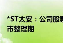 *ST太安：公司股票于6月14日复牌并进入退市整理期