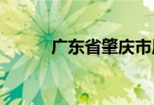 广东省肇庆市原副市长叶锐被查