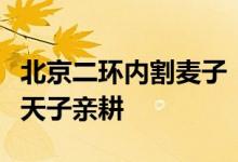 北京二环内割麦子！先农坛明清耤田体验古代天子亲耕