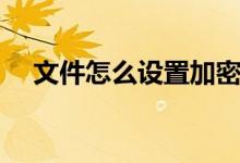 文件怎么设置加密（加密文件如何打开）