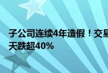 子公司连续4年造假！交易所发函“敲打”朗源股份 股价12天跌超40%